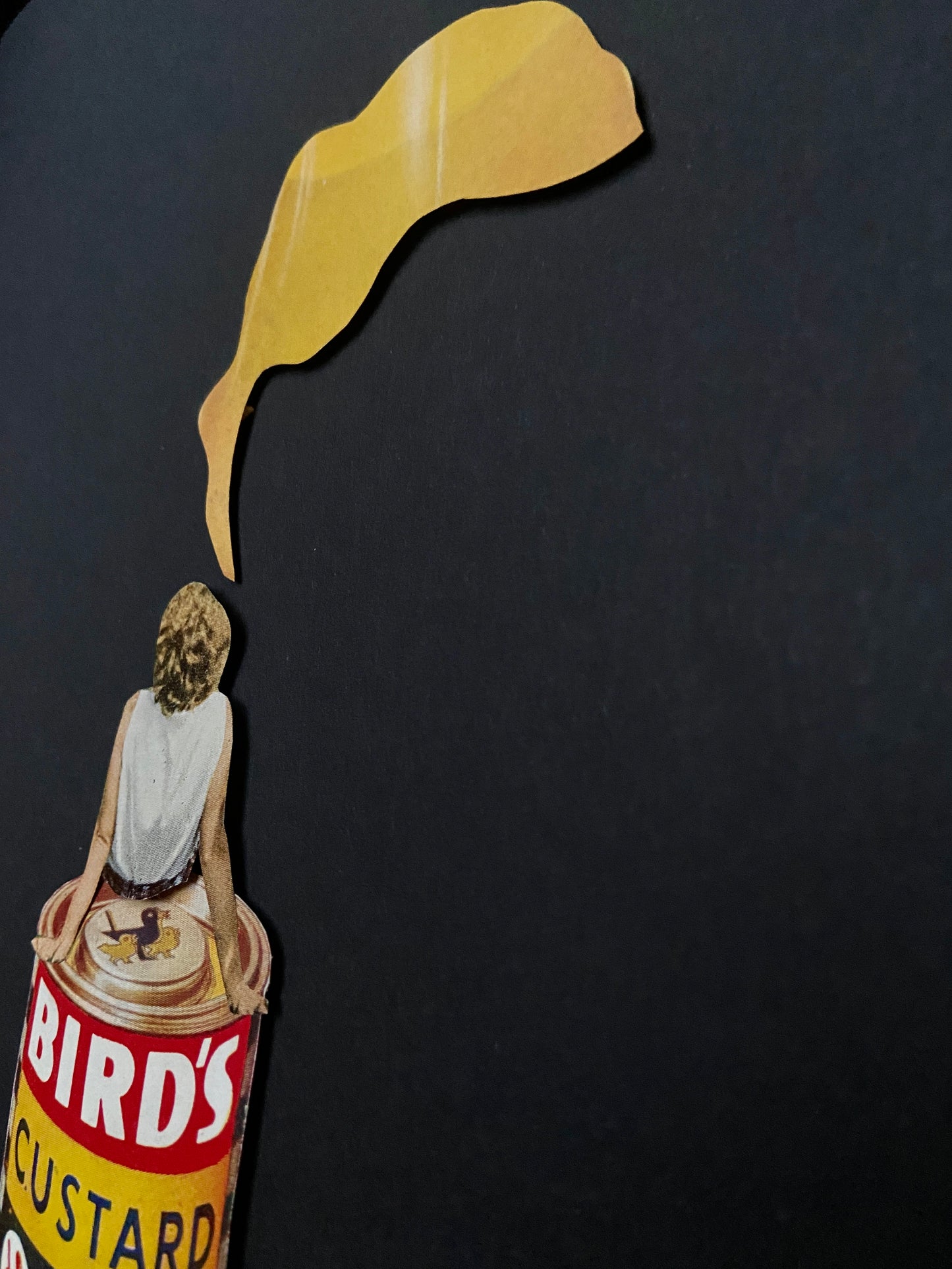 ‘Bird’s’