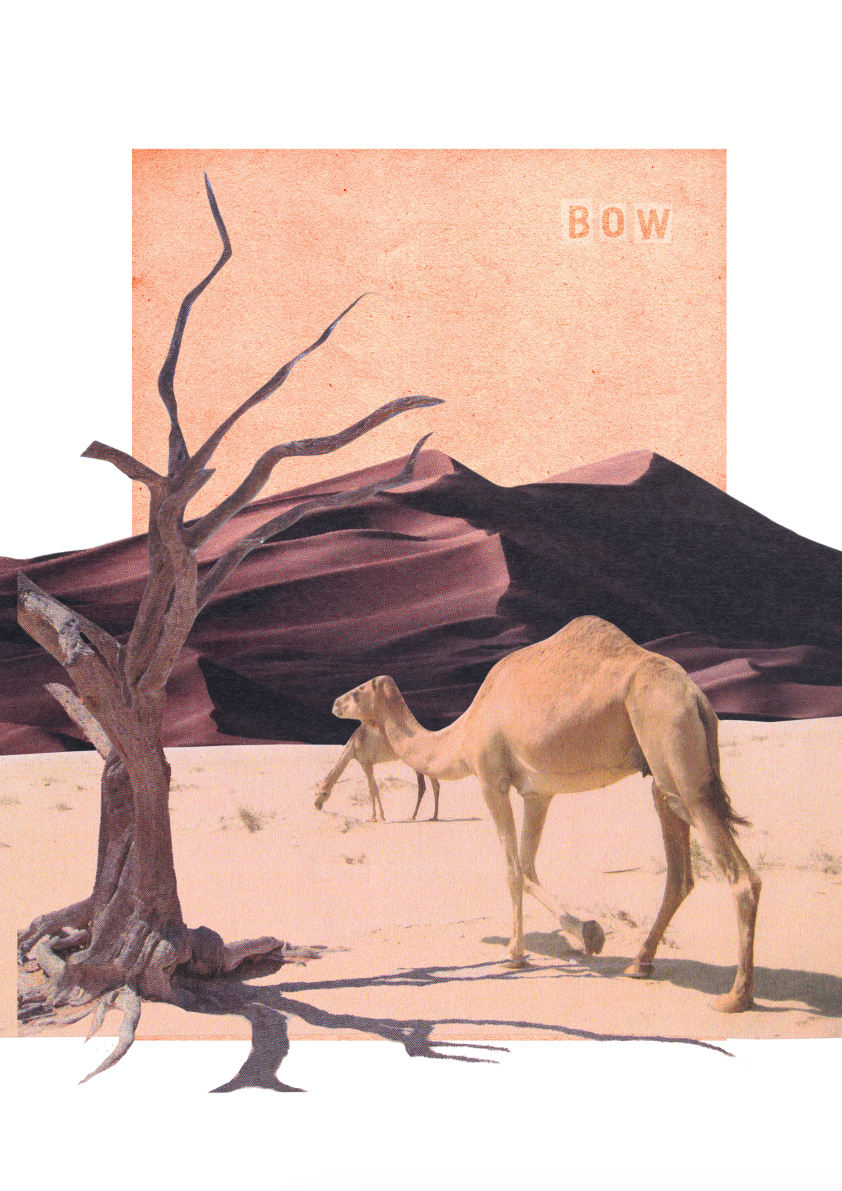 'Bow'